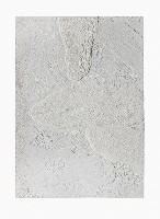 Célio Braga, 07. Untitled (White Blur), 2017. Cuts and carvings on paper. 29.5 x 21 cm
PHŒBUS•Rotterdam